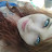 @SIRDXCKHEAD