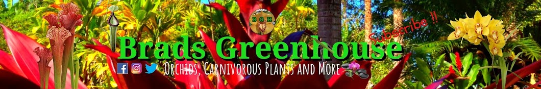 Brads Greenhouse & Gardening Аватар канала YouTube