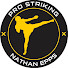 bPAUrK_H6CY-channel-avatar-Pro Striking