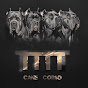 TTTT_Cane_Corso Image Thumbnail