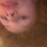 xBebwfRTelY-channel-avatar-tjcurlyfries