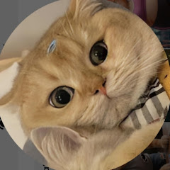 puffkten089