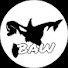 5ux4oXyBkE0-channel-avatar-OrcasBAW