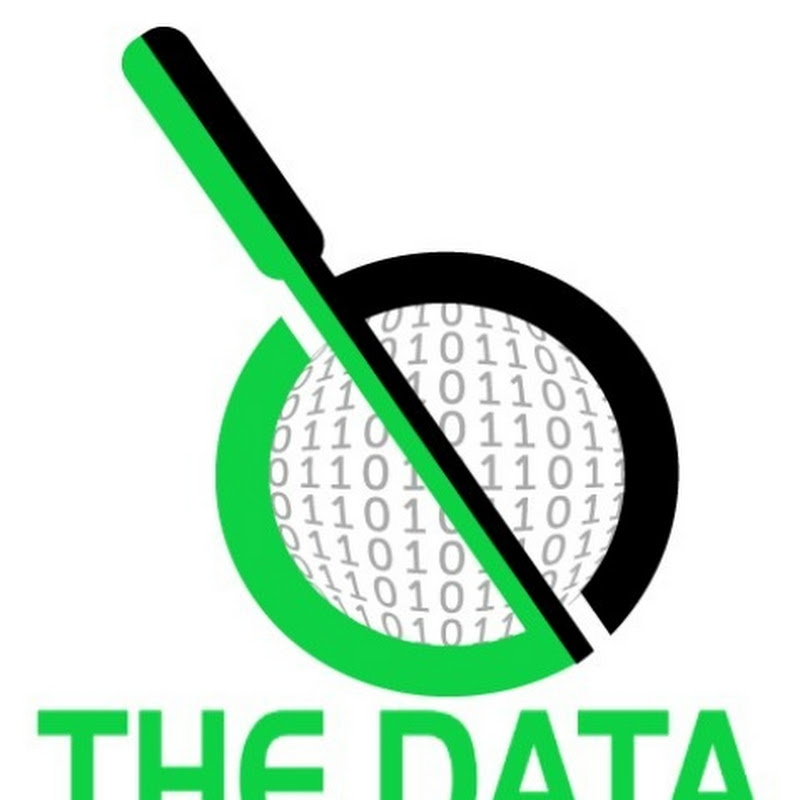 The Data Detective