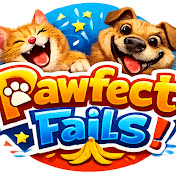 Hire Pawfect fails — Pets & Animals YouTube creator for sponsorships