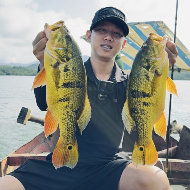 Câu Cá Tự Nhiên - Lure Cá Săn Mồi