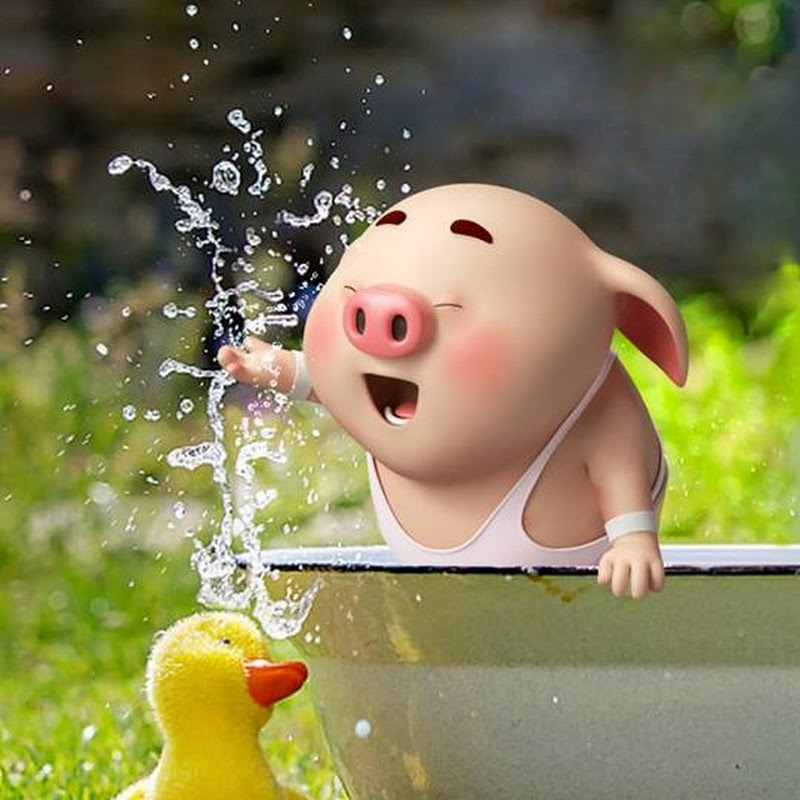 Story Pet
