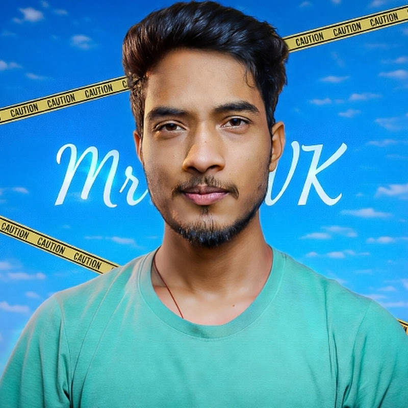 Mr Hwk