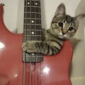 AcousticVibes