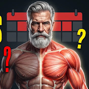 Muscles après 60 ans