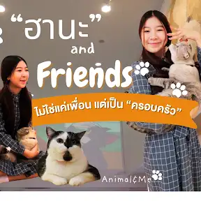 BACKbone MCOT YouTube channel