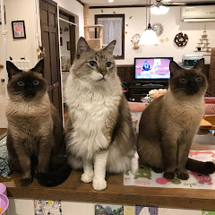 脳トレetc. -えとせとら-