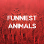 Funniest Animals