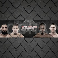 UFC fight