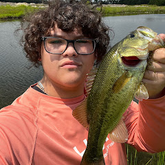 KMoney.BASSIN
