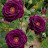 @AchuAmmu-y7t