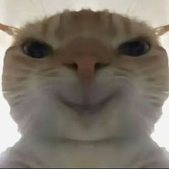 猫meme搞笑院アイコン画像