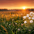 rdWwKqg-__8-channel-avatar-Central Worship