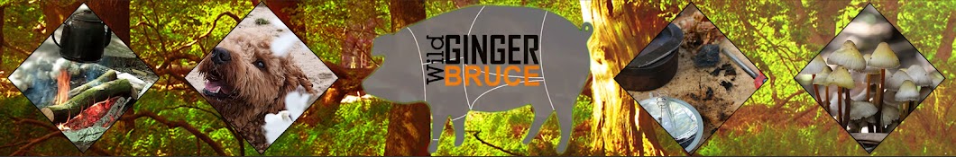 Wild Ginger Bruce YouTube channel avatar