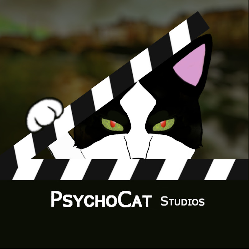 Psycho Cat Studios