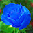 @Wioletta6550