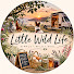 4ipGXK3vbH8-channel-avatar-Little Wild Life