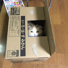 みきゅ