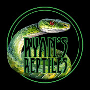 Ryans_ Reptiles