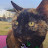 @pixiebellatrix2413's avatar