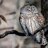 fvSBHy72qyc-channel-avatar-NHACC The NH Assoc. of Conservation Commissions