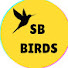 4Vgas2203CY-channel-avatar-SB_ World