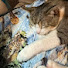 m6jyoPhg2Ys-channel-avatar-Quiltin Stitchin and Kitties