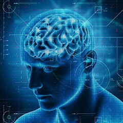 Știință & Science