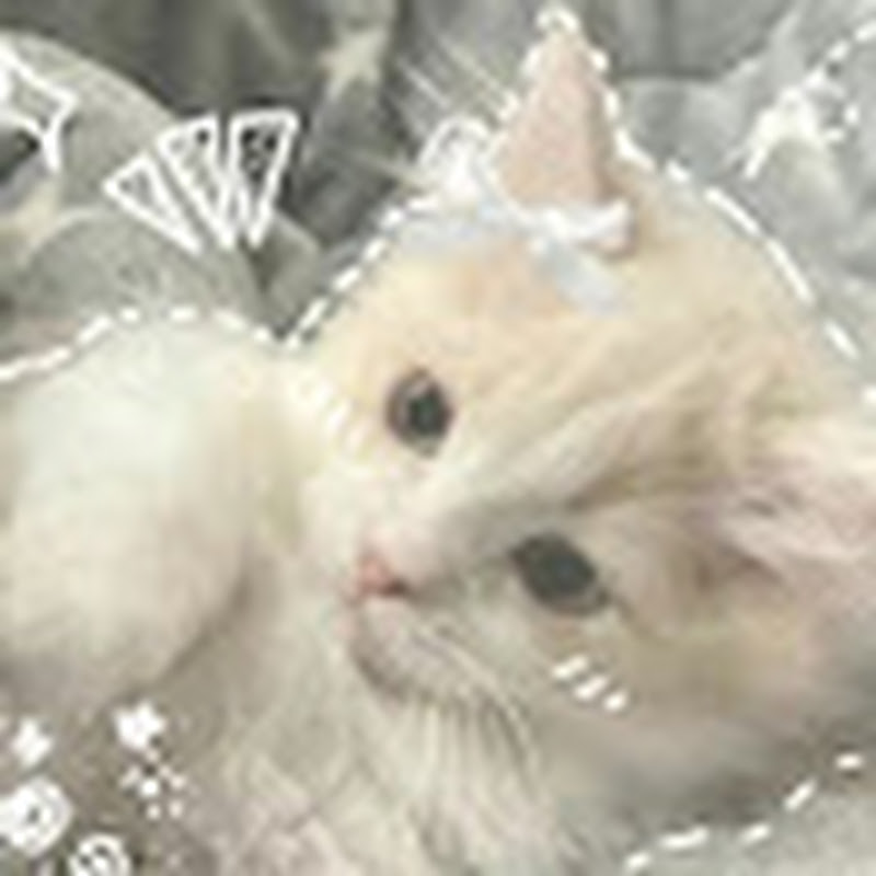 Hire ୨⎯ KYOMI⎯୧ — Roblox Content YouTube creator for sponsorships