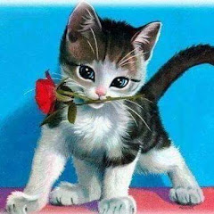 Musik und allerlei Impressionen