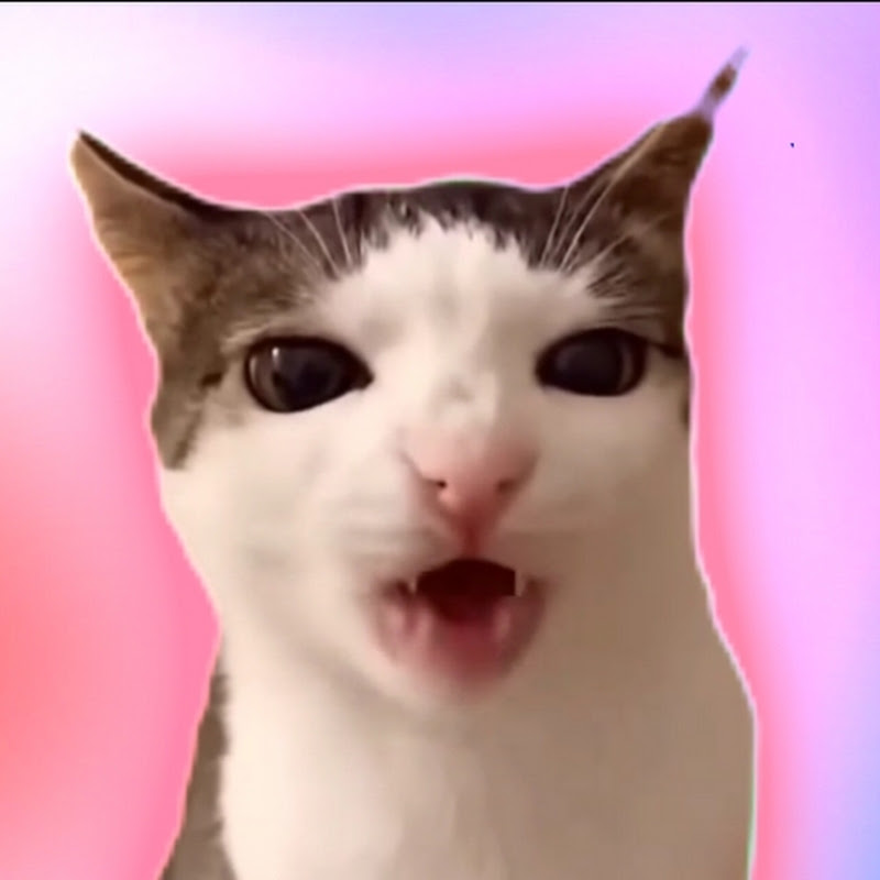 Orekyy