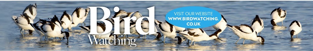 Bird Watching Magazine رمز قناة اليوتيوب