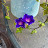 @Jdezz39 Avatar