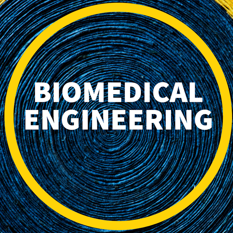 Education in Smart Biomedical Engineering 