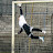 @footballkplanet
