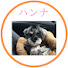jY_0nszN_zw-channel-avatar-はなたん