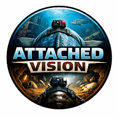 Attached Vision