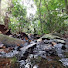 jJMztivYqxg-channel-avatar-SG Life Story