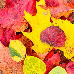 The Popple People Avatar