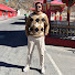 M-B_h6QdE7o-channel-avatar-The sourav diaries