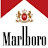 @marlborooman