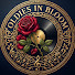pwMCIH-cr8s-channel-avatar-Oldies in Bloom