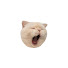 ofWsJaGfC3o-channel-avatar-B型
