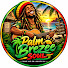 zJXAOoN-HMY-channel-avatar-Palm Brezee Soul