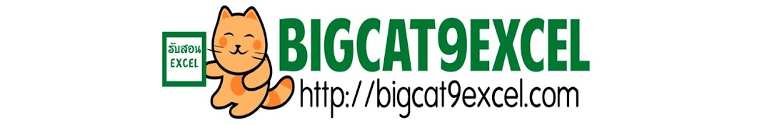 Bigcat9 Excel YouTube channel avatar
